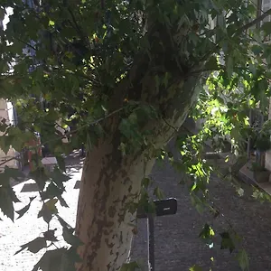 Plaisance Apartment Avignon